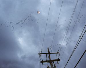 Over the Wires and Into the Lake!