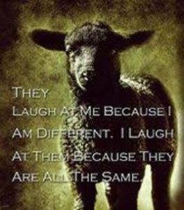 Embrace Your Black Sheep